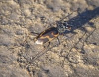 P6297174.jpg P6297174.jpg