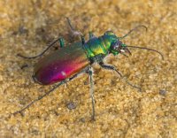 P9122279.jpg P9122279.jpg