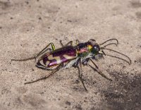 P9176484.jpg P9176484.jpg