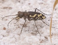 P4232767.jpg P4232767.jpg