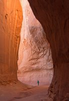 IMGP9023-copy-3.jpg IMGP9023-copy-3.jpg