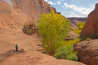 IMGP9033-copy-3.jpg IMGP9033-copy-3.jpg