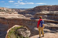 IMGP9041-copy-3.jpg IMGP9041-copy-3.jpg