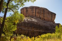 IMGP9085-copy-3.jpg IMGP9085-copy-3.jpg