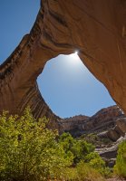 IMGP9091-copy-3.jpg IMGP9091-copy-3.jpg