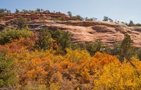 IMGP9100-copy-3.jpg IMGP9100-copy-3.jpg