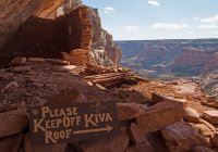 IMGP9157-copy-3.jpg IMGP9157-copy-3.jpg