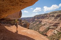 IMGP9115-copy-3.jpg IMGP9115-copy-3.jpg