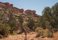 IMGP9232-copy-3.jpg IMGP9232-copy-3.jpg