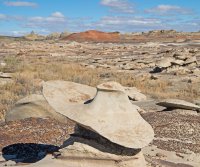 IMGP9441-copy-3.jpg IMGP9441-copy-3.jpg