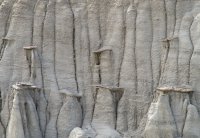 IMGP9476-copy-3.jpg IMGP9476-copy-3.jpg