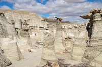 IMGP9493-copy-3.jpg IMGP9493-copy-3.jpg