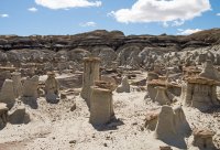 IMGP9496-copy-3.jpg IMGP9496-copy-3.jpg