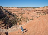 IMGP9520-copy-3.jpg IMGP9520-copy-3.jpg