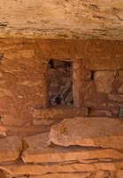 IMGP9529-copy-3.jpg IMGP9529-copy-3.jpg