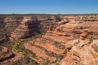 IMGP9537-copy-3.jpg IMGP9537-copy-3.jpg