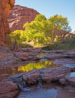 IMGP9571-copy-3.jpg IMGP9571-copy-3.jpg