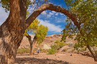 IMGP9583-copy-3.jpg IMGP9583-copy-3.jpg