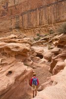 IMGP9608-copy-3.jpg IMGP9608-copy-3.jpg