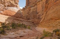 IMGP9613-copy-3.jpg IMGP9613-copy-3.jpg