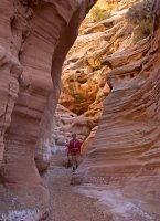 IMGP9633-copy-3.jpg IMGP9633-copy-3.jpg