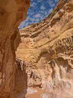 IMGP9628-copy-3.jpg IMGP9628-copy-3.jpg