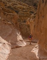 IMGP9626-copy-3.jpg IMGP9626-copy-3.jpg