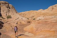 IMGP9683-copy-3.jpg IMGP9683-copy-3.jpg