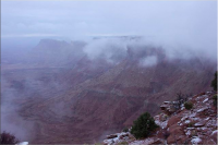 Screen Shot 2017-11-16 at 9.54.26 AM.png