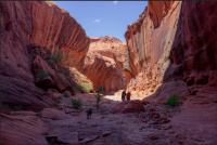 Screen Shot 2017-11-18 at 7.50.27 PM.png