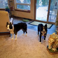 fullsizeoutput_1057.jpeg fullsizeoutput_1057.jpeg