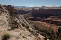 Screen Shot 2017-11-21 at 7.12.41 PM.png