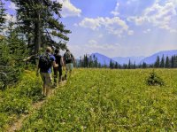 IMG_20170805_144913_lzn.jpg IMG_20170805_144913_lzn.jpg