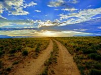 Morning Trail - Copy.jpg Morning Trail - Copy.jpg