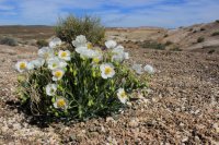 IMG_0667.JPG IMG_0667.JPG