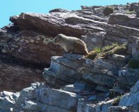 IMG_1039.JPG IMG_1039.JPG