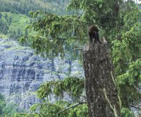 IMG_1178.JPG IMG_1178.JPG