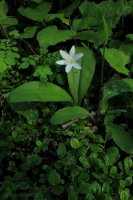 IMG_1113.JPG IMG_1113.JPG