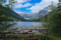 IMG_1235.JPG IMG_1235.JPG