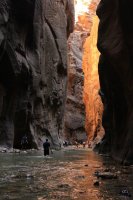 IMG_1615.JPG IMG_1615.JPG