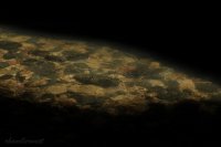 IMG_1632.JPG IMG_1632.JPG