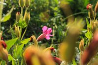 IMG_1963.JPG IMG_1963.JPG