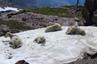 IMG_2112.JPG IMG_2112.JPG