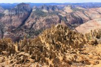 IMG_2298.JPG IMG_2298.JPG