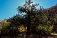 IMG_2680.JPG IMG_2680.JPG