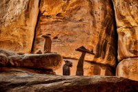 Chesler2012-297sm.jpg Chesler2012-297sm.jpg