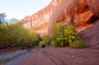 escalante-backpacking-loop-19.jpg
