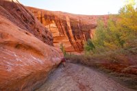 escalante-backpacking-loop-28.jpg