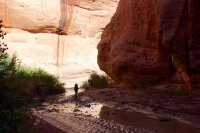 escalante-backpacking-loop-30.jpg