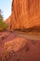 escalante-backpacking-loop-32.jpg